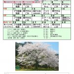 5月　ごみ収集カレンダー